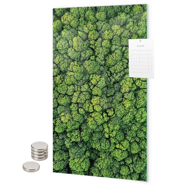Tableau aimanté arbres nature forêt
