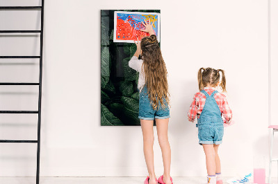 Tableau magnétique effaçable Tableau vert pour les notes et les photos