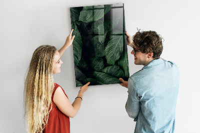 Tableau magnétique effaçable Tableau vert pour les notes et les photos