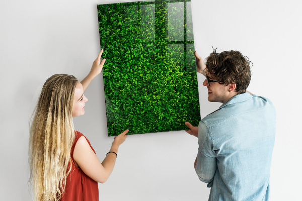 Tableau effaçable magnétique Tableau d'affichage photo vert