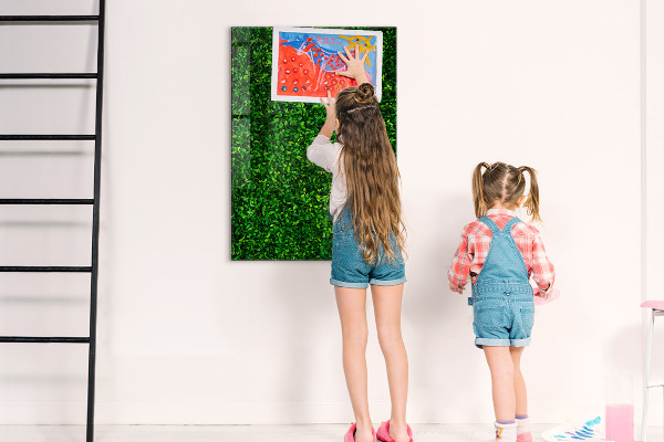 Tableau effaçable magnétique Tableau d'affichage photo vert