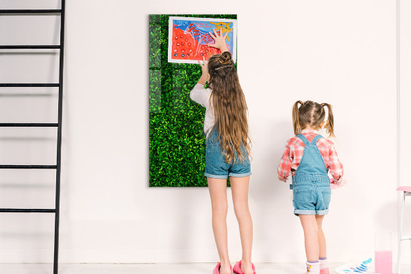 Tableau effaçable magnétique Tableau d'affichage photo vert