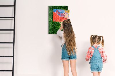 Tableau effaçable magnétique Tableau d'affichage photo vert