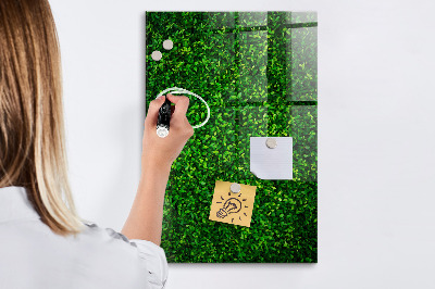 Tableau effaçable magnétique Tableau d'affichage photo vert