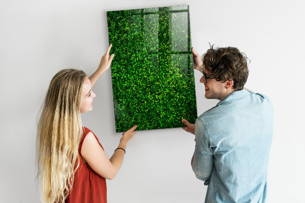 Tableau effaçable magnétique Tableau d'affichage photo vert