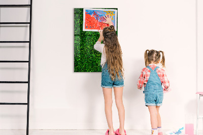 Tableau effaçable magnétique Tableau d'affichage photo vert