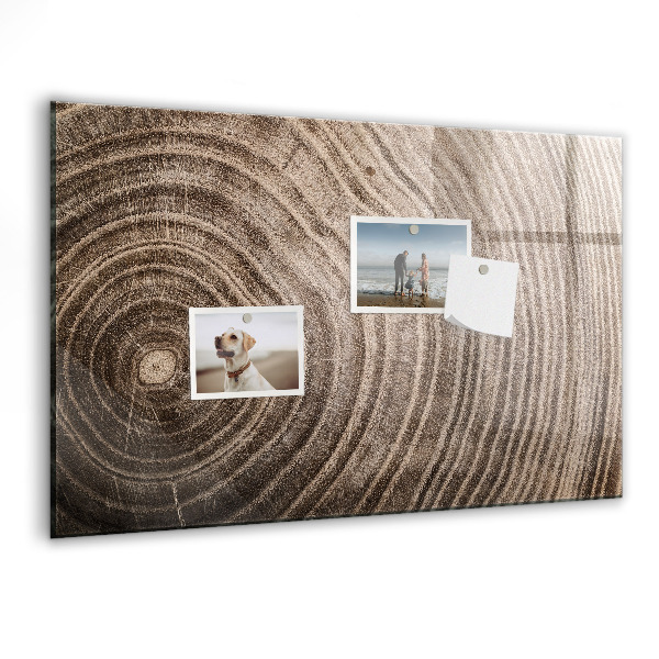 Tableau effaçable magnétique Tableau mémo avec aimants et photos