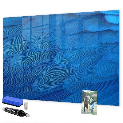 Tableau magnétique effaçable Tableau bleu pour les photos et les notes