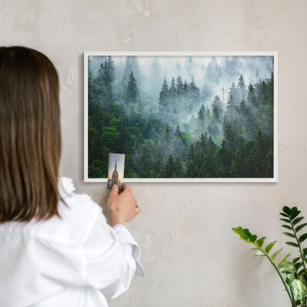 Tableau mural pour aimants dans un cadre noir Forêt mystérieuse