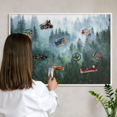 Tableau mural pour aimants dans un cadre noir Forêt mystérieuse