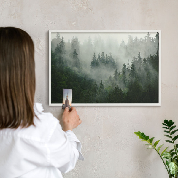 Tableau mural pour aimants dans un cadre noir Magie de la forêt