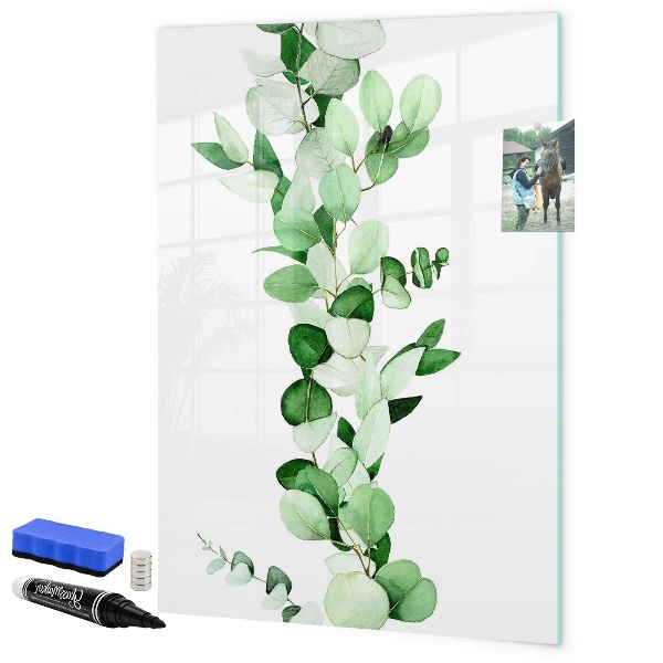 Tableau magnétique effaçable Motif vert avec espace pour photos