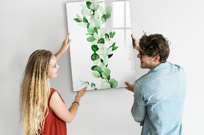 Tableau magnétique effaçable Motif vert avec espace pour photos