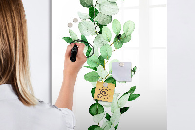 Tableau magnétique effaçable Motif vert avec espace pour photos