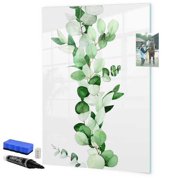 Tableau magnétique effaçable Motif vert avec espace pour photos