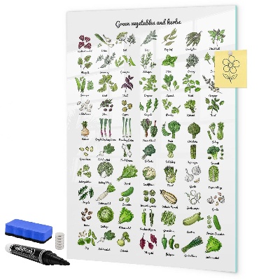 Tableau magnétique effaçable Légumes verts et herbes aromatiques en images