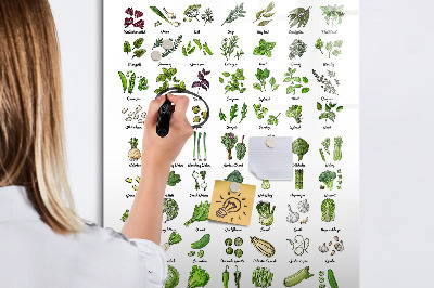 Tableau magnétique effaçable Légumes verts et herbes aromatiques en images