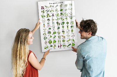 Tableau magnétique effaçable Légumes verts et herbes aromatiques en images