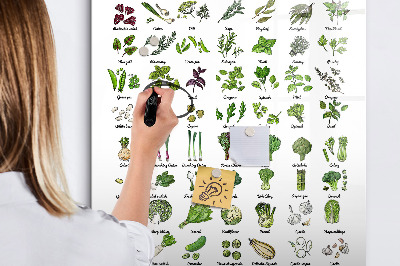 Tableau magnétique effaçable Légumes verts et herbes aromatiques en images