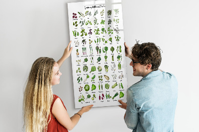 Tableau magnétique effaçable Légumes verts et herbes aromatiques en images
