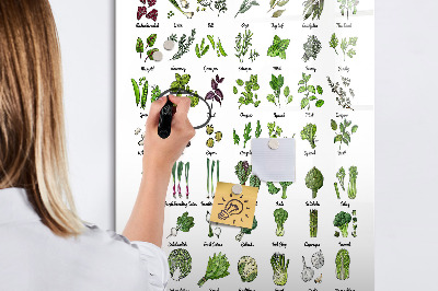 Tableau magnétique effaçable Légumes verts et herbes aromatiques en images