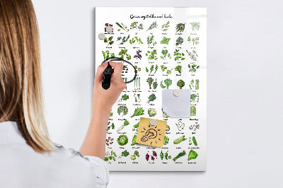 Tableau magnétique effaçable Légumes verts et herbes aromatiques en images