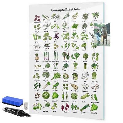 Tableau magnétique effaçable Légumes verts et herbes aromatiques en images