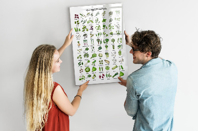 Tableau magnétique effaçable Légumes verts et herbes aromatiques en images