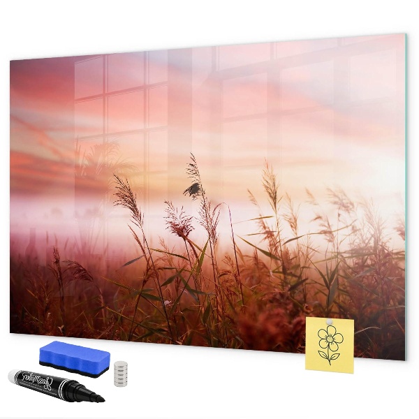 Tableau magnétique effaçable Un espace créatif pour présenter des photos