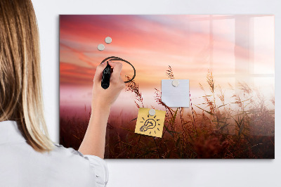 Tableau magnétique effaçable Un espace créatif pour présenter des photos