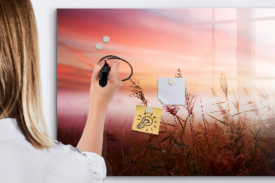 Tableau magnétique effaçable Un espace créatif pour présenter des photos