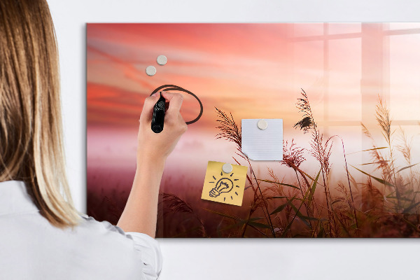 Tableau magnétique effaçable Un espace créatif pour présenter des photos
