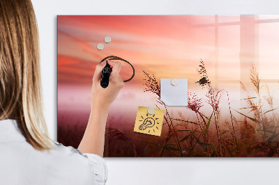 Tableau magnétique effaçable Un espace créatif pour présenter des photos