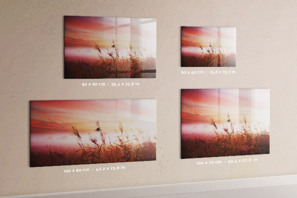 Tableau magnétique effaçable Un espace créatif pour présenter des photos