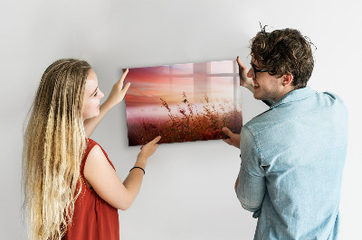 Tableau magnétique effaçable Un espace créatif pour présenter des photos