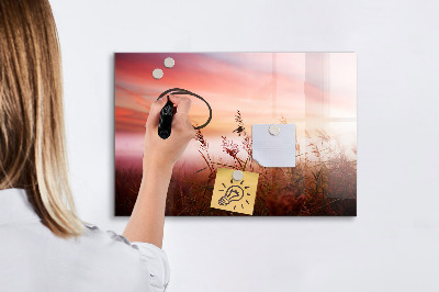 Tableau magnétique effaçable Un espace créatif pour présenter des photos