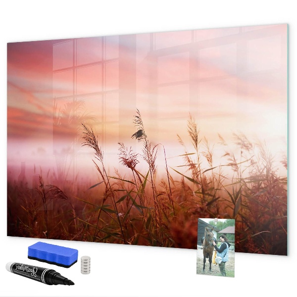 Tableau magnétique effaçable Un espace créatif pour présenter des photos