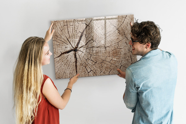 Tableau magnétique effaçable Design naturel avec espace pour les photos