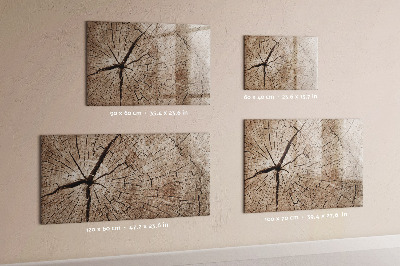 Tableau magnétique effaçable Design naturel avec espace pour les photos