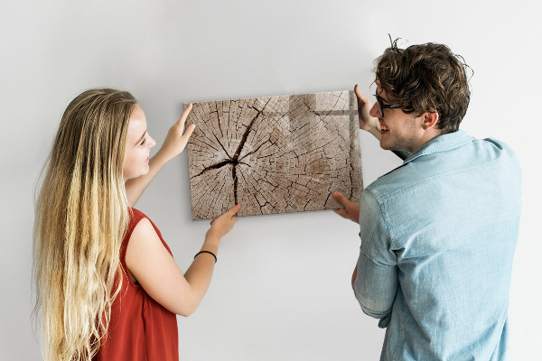 Tableau magnétique effaçable Design naturel avec espace pour les photos