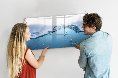 Tableau effaçable magnétique Fond aquatique avec photos et accessoires