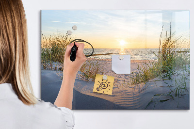 Tableau magnétique effaçable Plage et souvenirs en photos