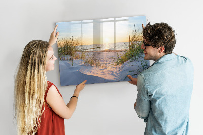 Tableau magnétique effaçable Plage et souvenirs en photos