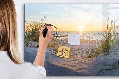 Tableau magnétique effaçable Plage et souvenirs en photos