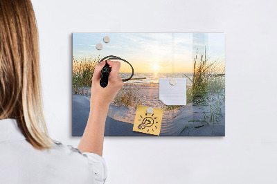 Tableau magnétique effaçable Plage et souvenirs en photos