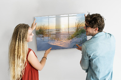 Tableau magnétique effaçable Plage et souvenirs en photos