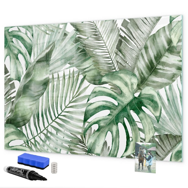 Tableau effaçable magnétique Affiche verte avec photos et accessoires
