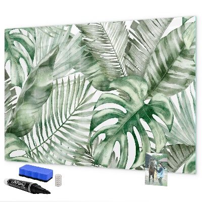 Tableau effaçable magnétique Affiche verte avec photos et accessoires