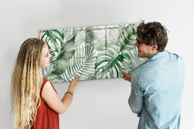 Tableau effaçable magnétique Affiche verte avec photos et accessoires