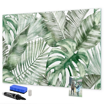 Tableau effaçable magnétique Affiche verte avec photos et accessoires